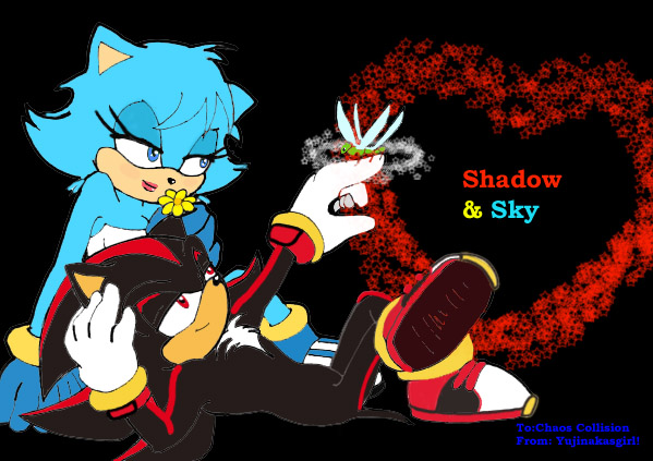 Shadow & Sky! (For  Chaos Collision!) and anyone e by yujinakasgirl