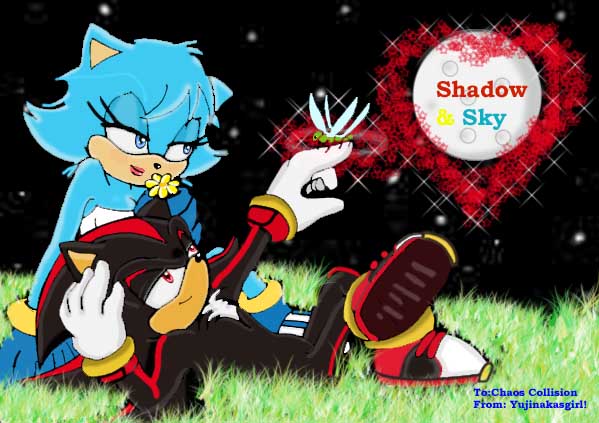 Shadow & Sky Better pic!( for Chaos Collision agai by yujinakasgirl