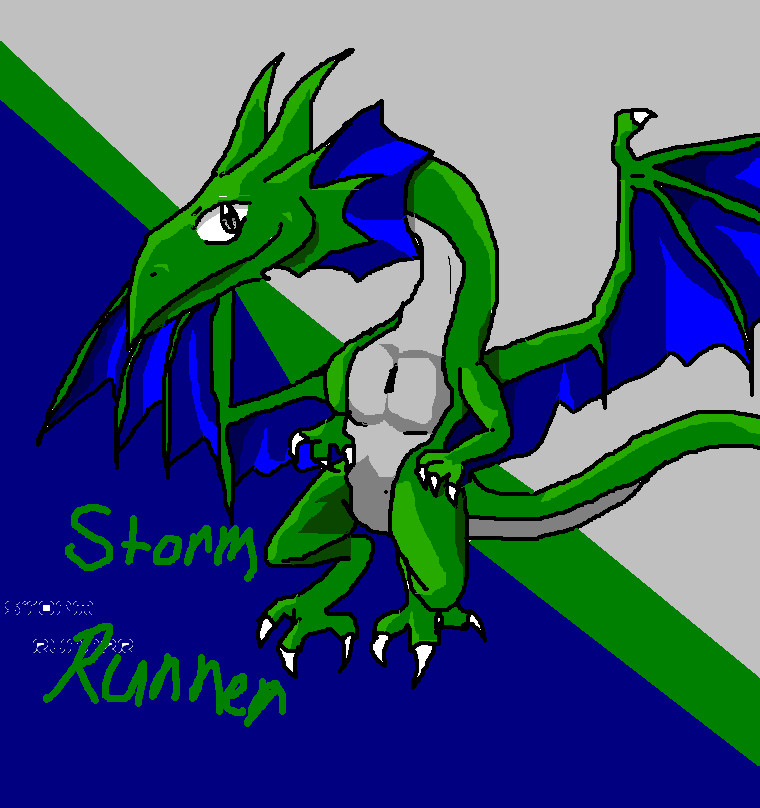 Storm runner [for Storm_dragon] by ZaneDragon102