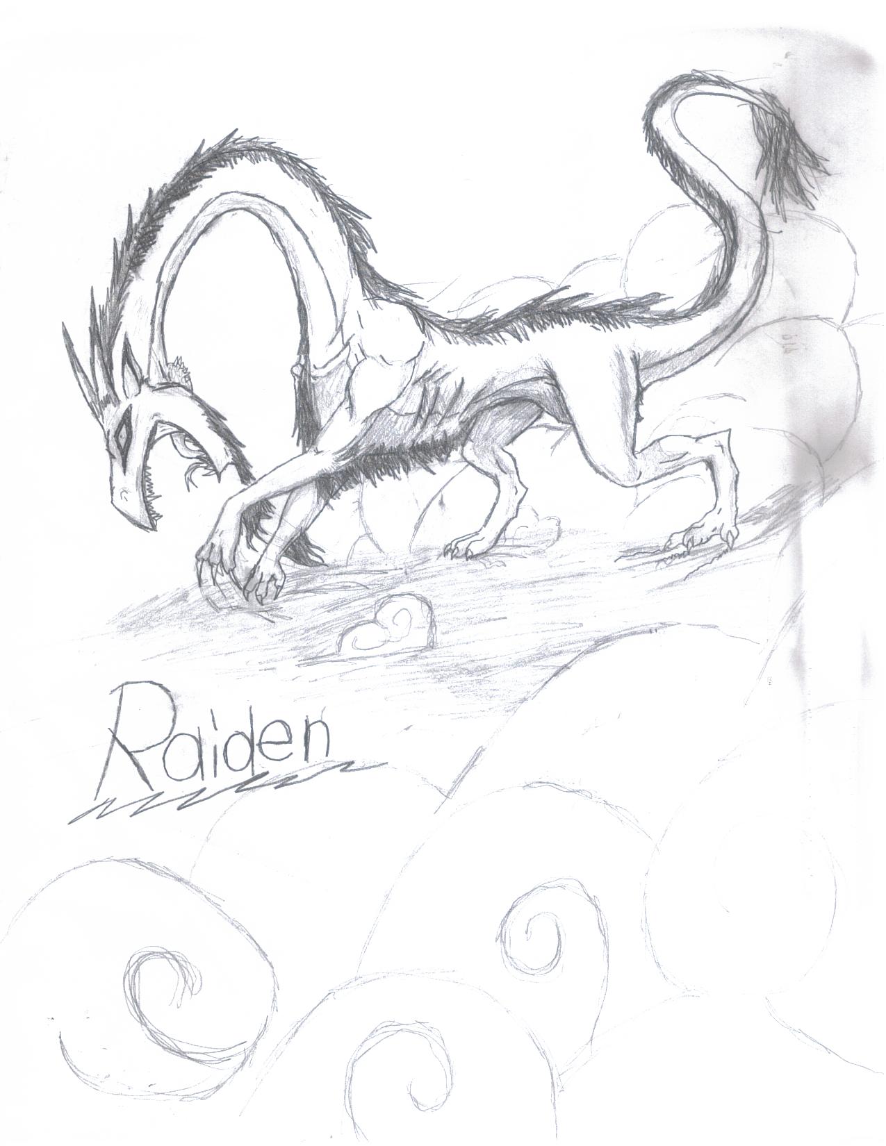 Raiden (for sukooru) by ZaneDragon102