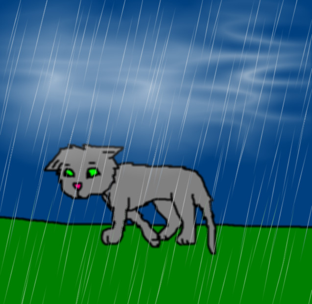 poor cat in the rain by Zanna