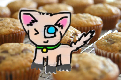 Muffin colored by Zanna