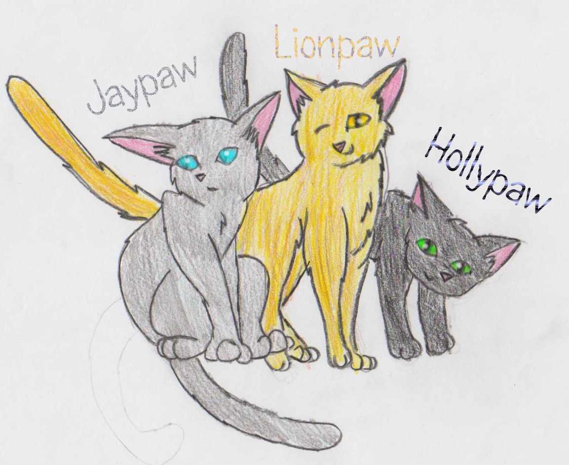Jaypaw Lionpaw &amp; Hollypaw by Zanna
