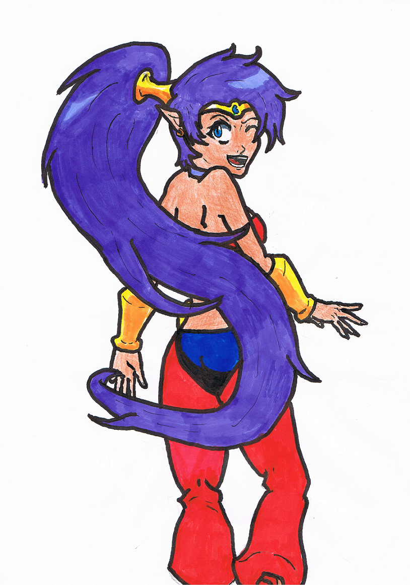 Shantae: Half Genie Hero by ZaronNitro