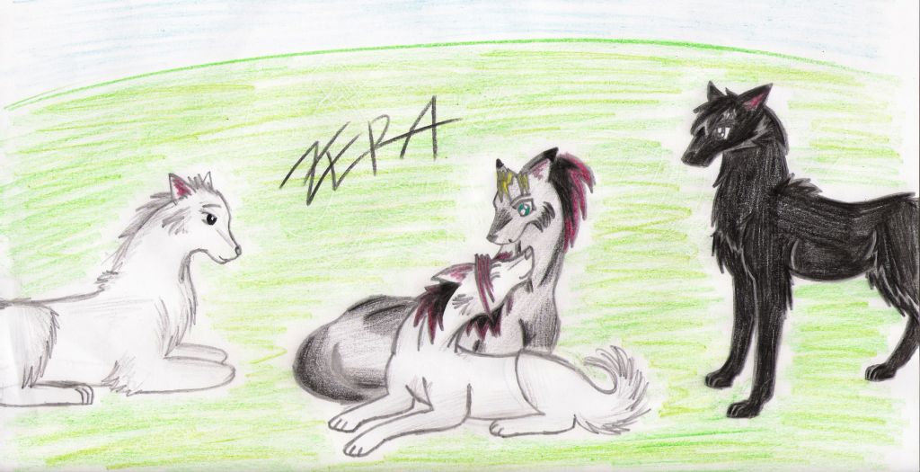 Zera, Jani, Yoko and Rabily (Wolf's rain style) by Zera