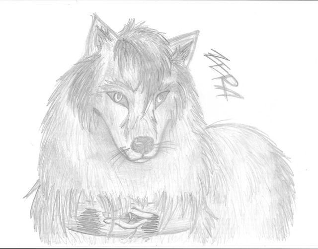 Zera as wolf (real photo) by Zera