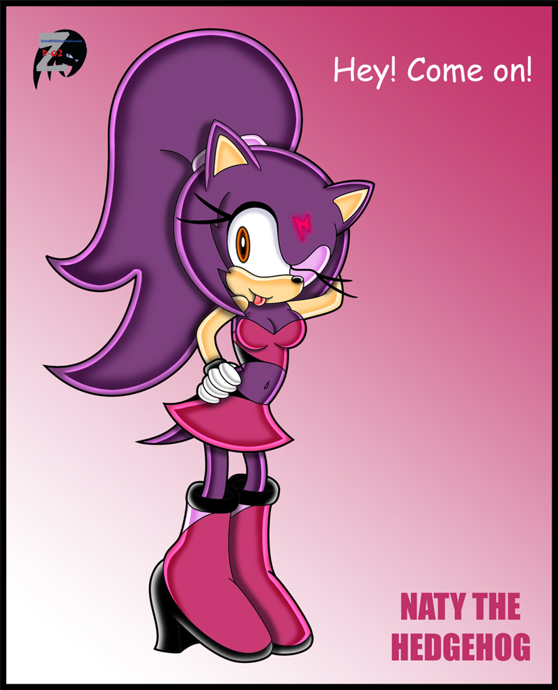 Naty The Hedgehog by ZetaR02