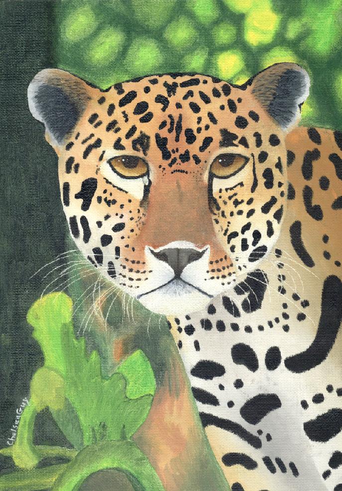 The Jaguar of the Jungle by Ziran152