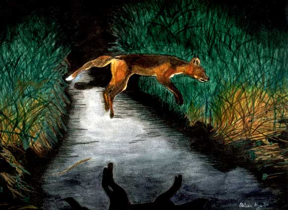 A Fox Over a Stream - watercolors by Ziran152