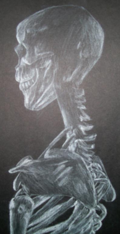 skeleton study by zelosgirl120