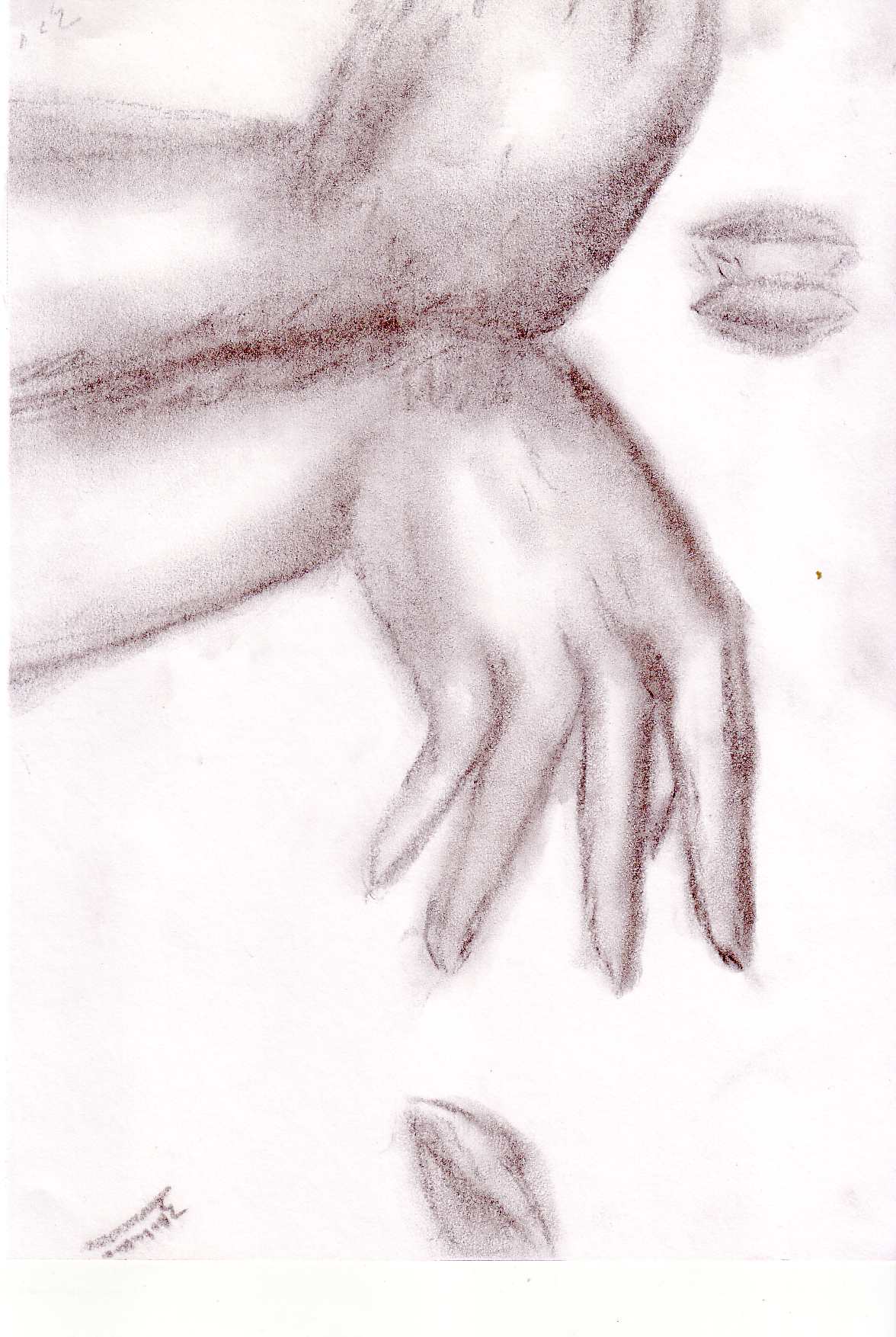 Hands by znikki