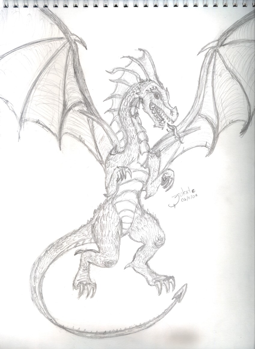 Dragon by zukate08