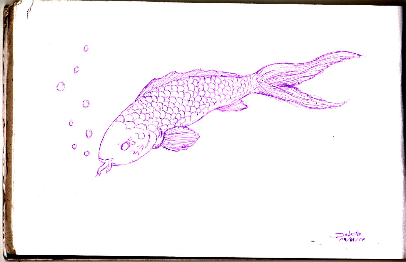A fish.. by zukate08